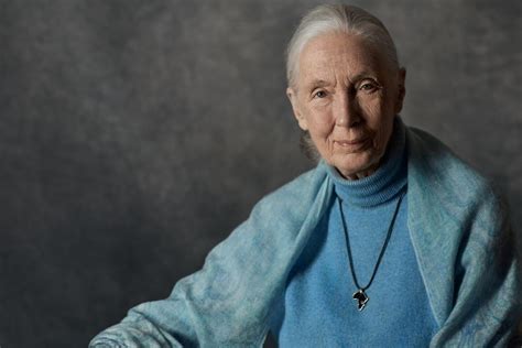 The hope screening with vip status! Statement from Dr. Jane Goodall on COVID-19: Wild animal ...