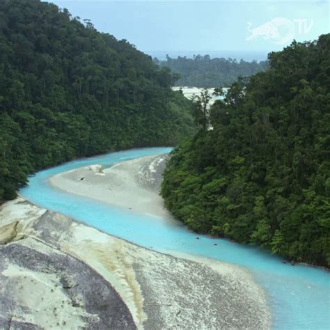the rivers of papua new guinea are absolutely breathtaking 😱😍🌊 the rivers of papua new guinea