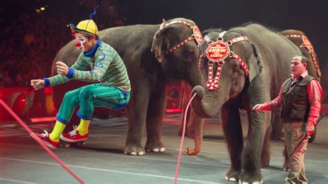 The Circus Elephants Final Tour