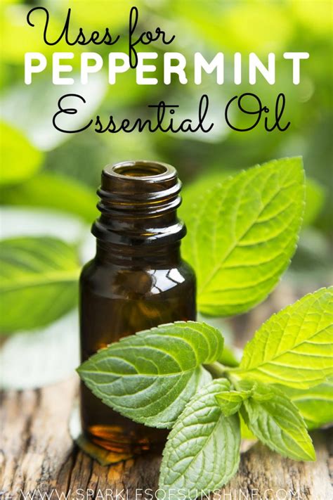 Uses For Peppermint Essential Oil Sparkles Of Sunshine
