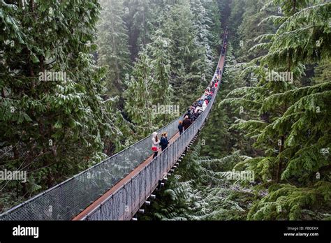Capilano Suspension Bridge Vancouver British Columbia Canada Stock