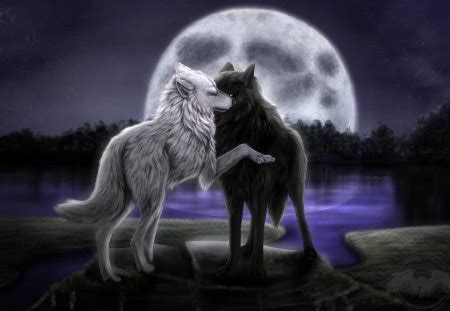 @gurubudda, >автор видел wolf's rainволчий дождь? wolf love - Dogs & Animals Background Wallpapers on ...