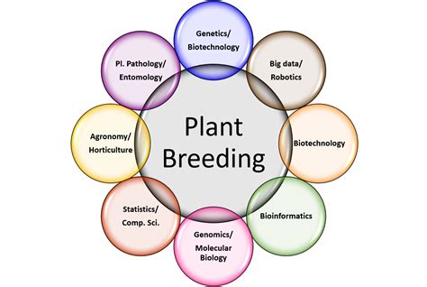 Why Study Plant Breeding Raymond F Baker Center For Plant Breeding