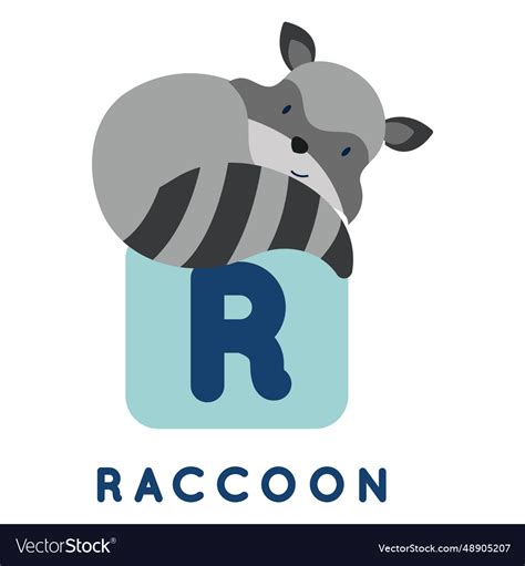 Letter R Raccoon Alphabet Royalty Free Vector Image