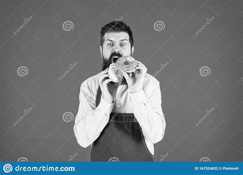Feel Hunger Bearded Man In Chef Apron Brutal Waiter On Kitchen Mature Man Red Background