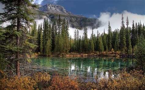 Scarica Parco Nazionale Di Banff Lago Montagna Abete Rosso Foresta