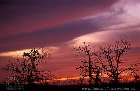 Windmill Texas Landscapes Gary Regner Photography