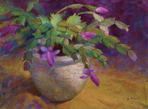 Therefore, it's best to choose small pots that will allow not more than an extra inch of soil on all sides as with dividing, wait to repot a christmas cactus until the plant has finished blooming and the flowers have dropped off. Christmas Cactus Pastel by Sharon Will
