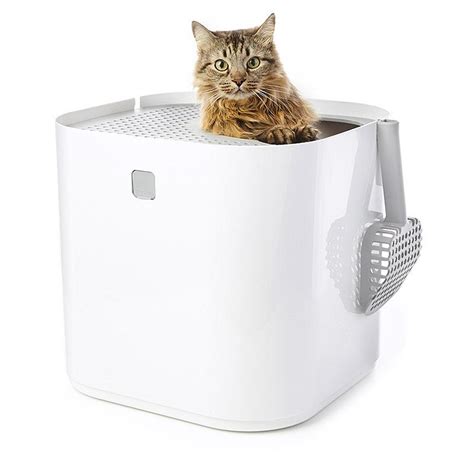 Top Entry Litter Box Litter Box With Hole In Top Modkat Modkat Ca