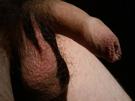 My Soft Uncut Cock Dripping Imgur