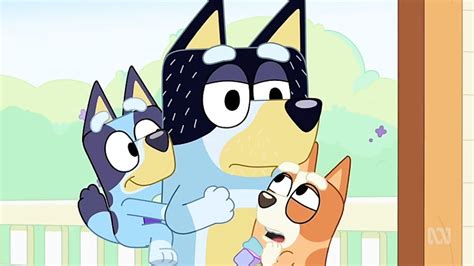 انیمیشن Bluey فصل 1 قسمت 36 Backpackers