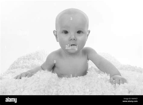 3 Month Old Baby Boy Stock Photo Alamy