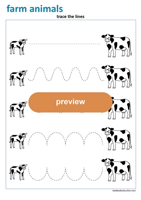 Worksheet Tracing Calf Lookbook Education First Grade Worksheets