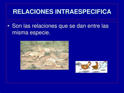 Ppt Interrelaciones Entre Los Seres Vivos Powerpoint Presentation