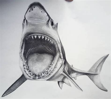 Tiffany Jo On Instagram Sharky Shark Realismshark Realism