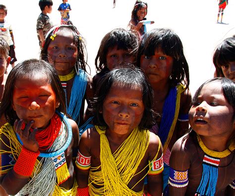 アマゾンの先住民族 特定非営利活動法人 熱帯森林保護団体rfj