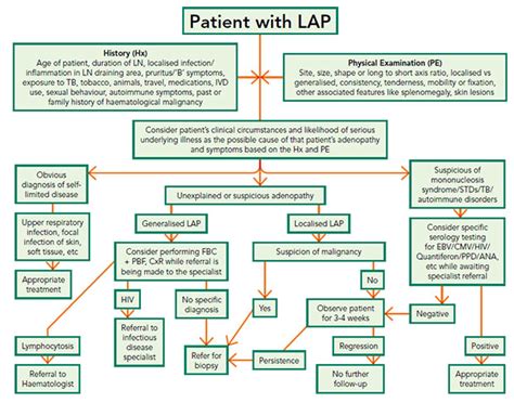 Approach To An Adult With Lymphadenopathy In Primary Care Singhealth