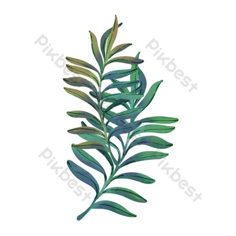Beautiful Watercolor Tropical Leaves Branches Png Images Psd Free