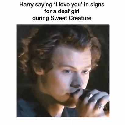 Harry Styles Memes Imagines Husband Quotes