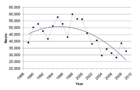 Historically, commercial exploitation was the primary cause of the decline of hawksbill sea turtle populations. Data - Loggerhead Sea Turtle