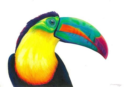 Resultado De Imagen De Toucan Drawing Bird Doodle Bird Drawings