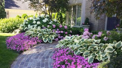 Captivating Hydrangea Flower Beds That Will Beautify Your Outdoors