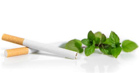 Tobacco is responsible for nearly one in. ACS launches guidance on menthol cigarette ban