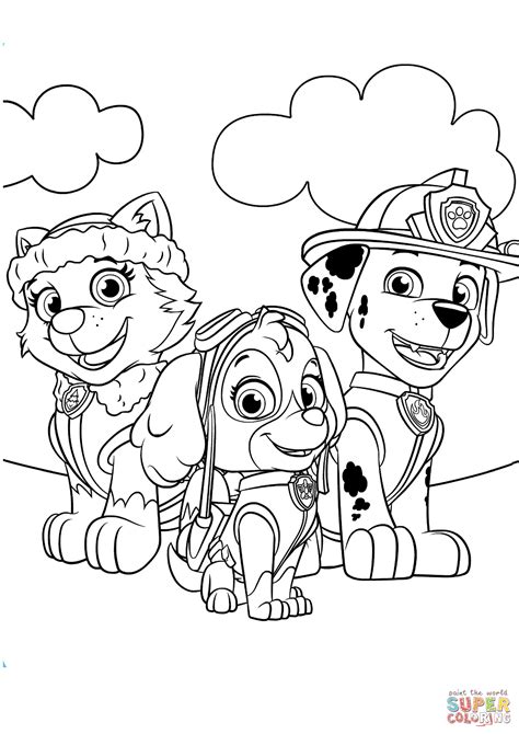 Everest Marshall And Skye Super Coloring In 2022 Paw Patrol