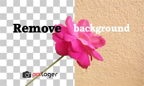 How To Remove Background From An Image Online Pixloger