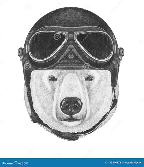 Portrait Of Polar Bear With Helmet Hand Drawn Illustration Stock