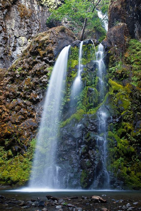 Fall Creek Falls Oregon United States World Waterfall Database