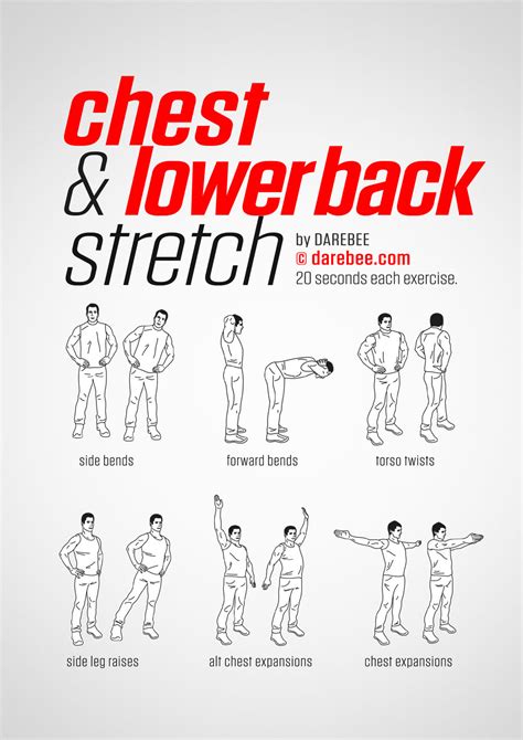 Here are some easy exercises that you can do for relief of lower back pain after when standing up from sitting. Chest & Lower Back Workout