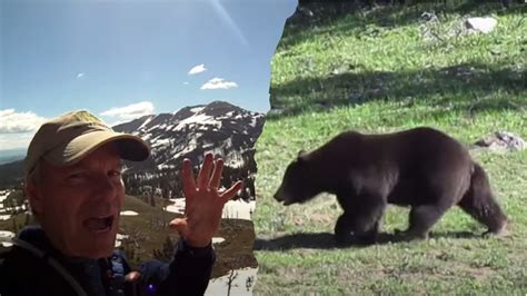 Watch Solo Hiker Surrounded By Six Grizzly Bears