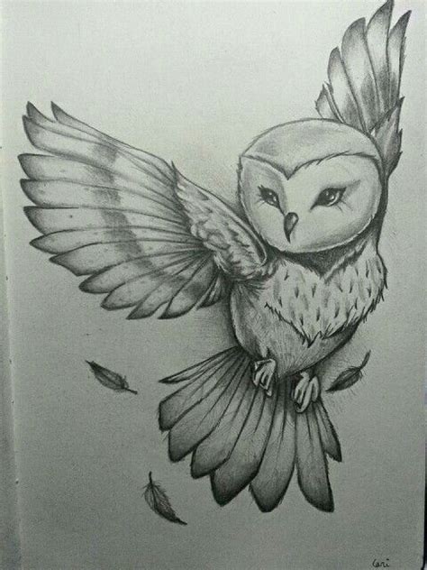 Buho A Lapiz Owls Drawing Animal Drawings Sketches