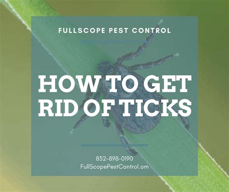 Pest control houston tx — cockroach control houston … houston pest control professionals say that cockroaches are one of the most hated pests in texas as well as in other parts of the united states. How to Get Rid of Lone Star Ticks in Your Cleveland Yard ...