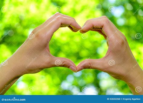 Closeup Of Woman Hands Showing Heart Shape On Natural Green Background