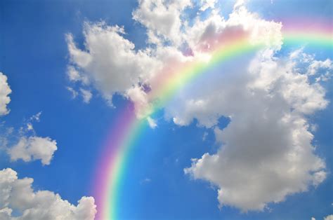 Metlink Royal Meteorological Society Rainbows