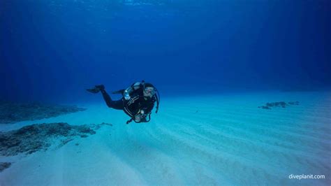 Okinawa Diving Resorts And Liveaboards Diving Japan