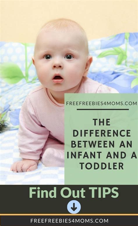 Difference Between An Infant And A Toddler Toddler New Baby Products