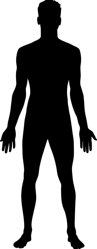 Body 18 Human Body Outline Png Pictures