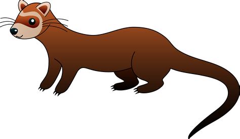 Weasel Png Hd Transparent Weasel Hdpng Images Pluspng