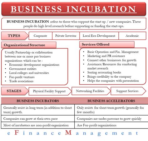 Business Incubation Meaning Importance And More