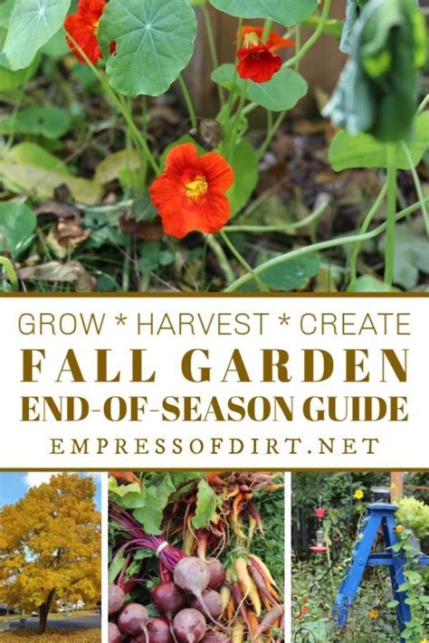 Fall Garden Guide Tips And Checklists Autumn Garden Garden Guide