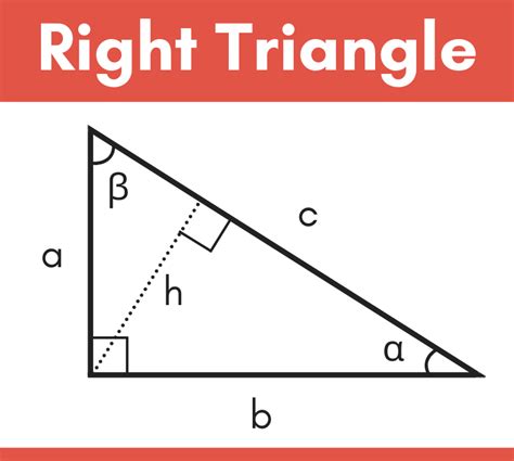 Solve For X And Y Geometry Calculator Galleryhac