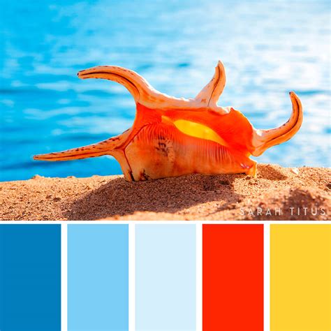 23 Beach Color Palettes Inspired By The Ocean Living