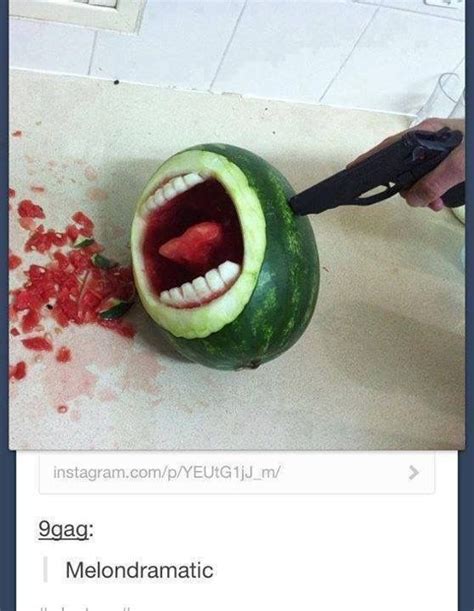 Image Result For Watermelon Puns Funny Pictures Tumblr Funny Funny