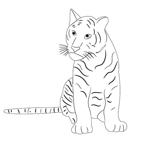Premium Vector Vector Isolated Sketch Of A Tiger Sitting