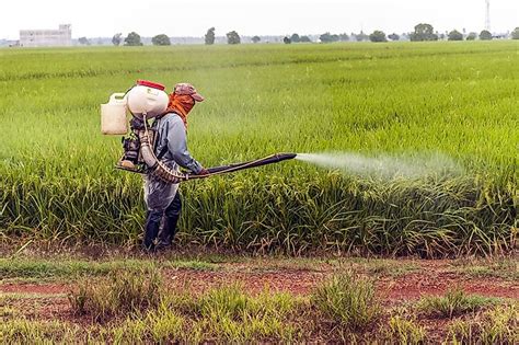 Some pesticides have less dangerous chemicals if they are considered natural. Top Pesticide Using Countries - WorldAtlas.com