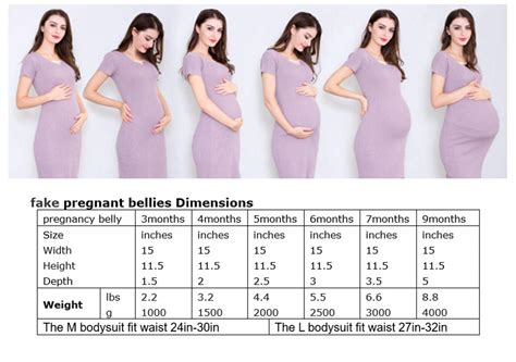 Pregnant Belly Sizes By Month Pregnantbelly