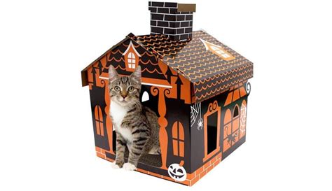 Target Hyde And Eek Boutique Basic Haunted House Cat Scratcher Target